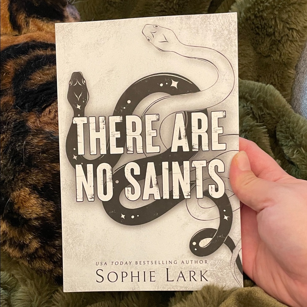 There Are No Saints by Sophie Lark